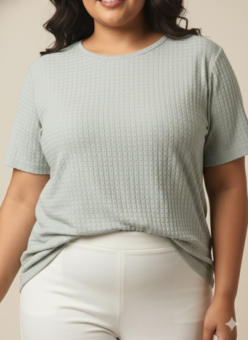 Plus Size Self Design Round Neck Short Sleeves Cotton T-shirt