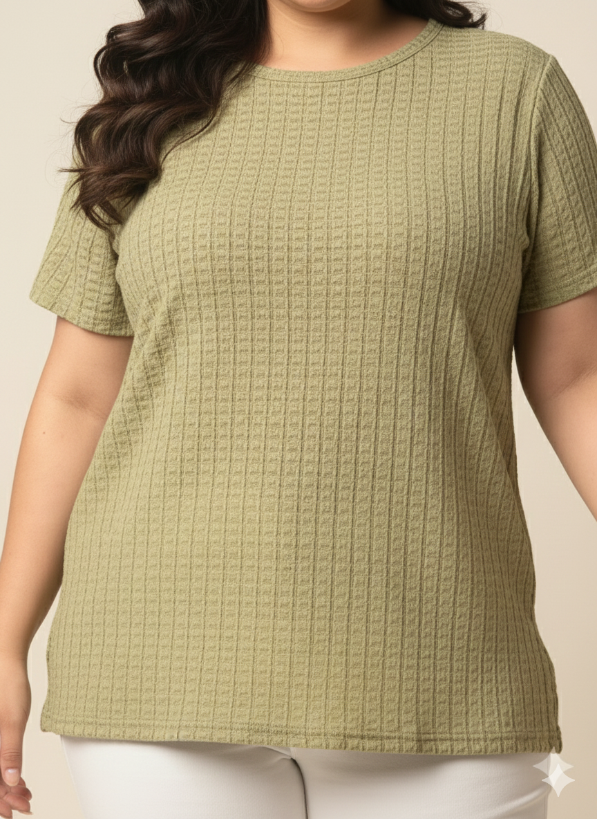 Plus Size Self Design Round Neck Short Sleeves Cotton T-shirt