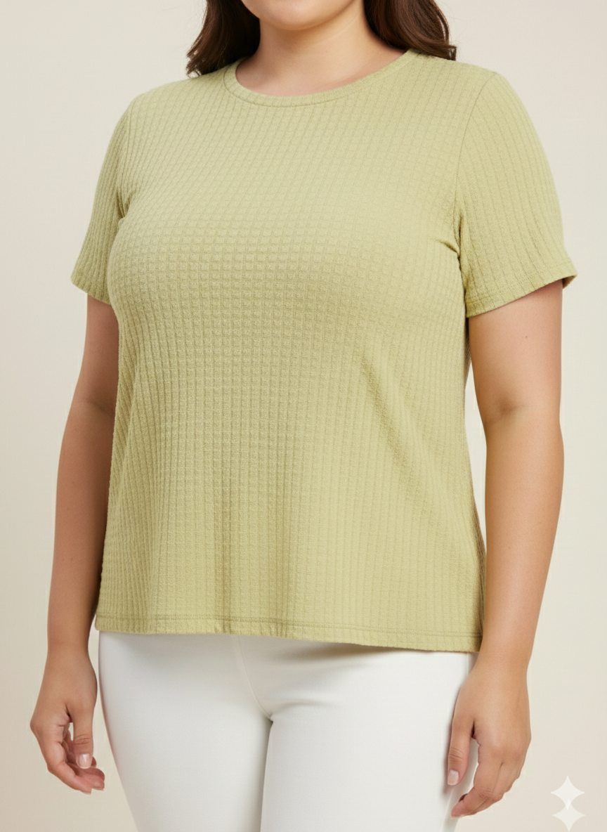 Plus Size Self Design Round Neck Short Sleeves Cotton T-shirt